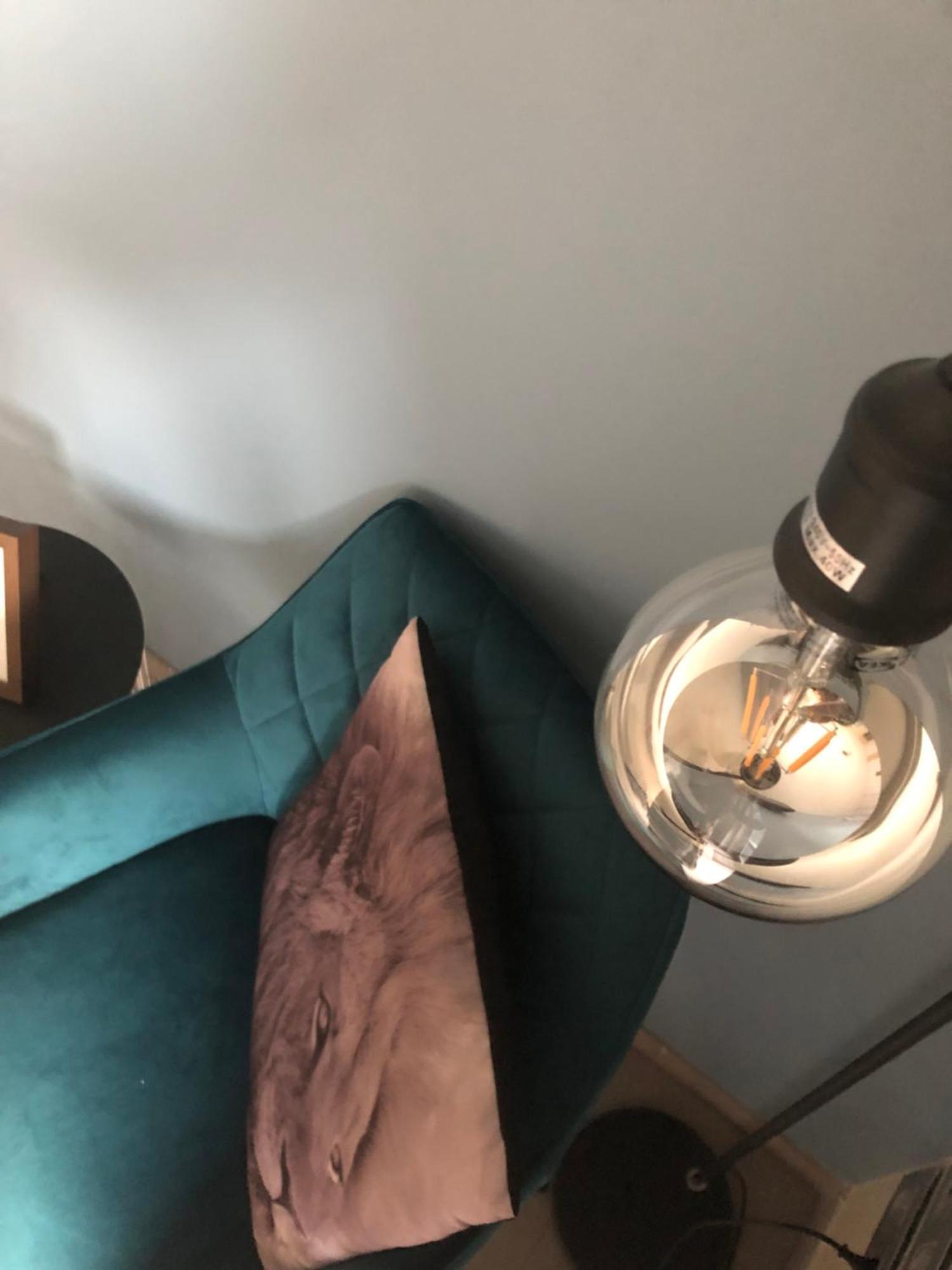 Selemo B&B - Business And Breakfast Gent Eksteriør billede